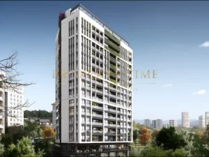 Polat Akatlar周边，莱文特 – 埃蒂莱尔轴线