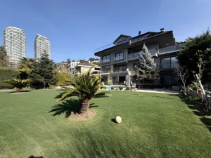 阿卡肯特社区内绿地