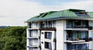 Çınar 107 Istanbul property photo 8