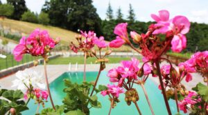 Freegarden Polonezkoy villa development image 5