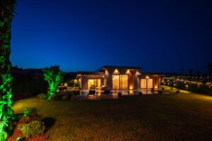 Brand Vadi – gece bahce ve aydinlatilmis zeytin agaci