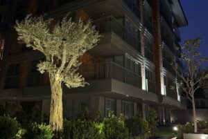 Mercury Çengelköy – anitsal zeytin agaci ve cephe